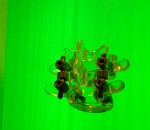 _0422250954.jpg