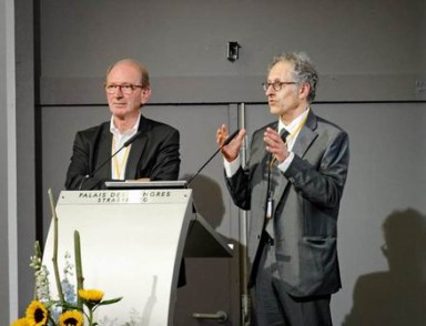 SFCR-2012-0357.jpg